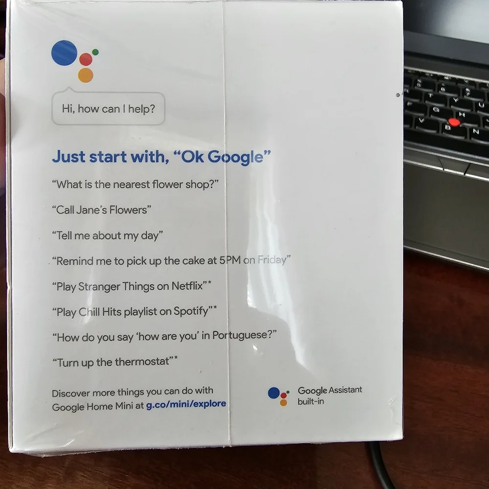Google Home Mini Brand NIB